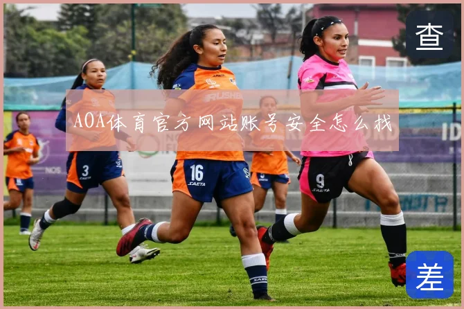 AOA体育官方网站账号安全怎么找