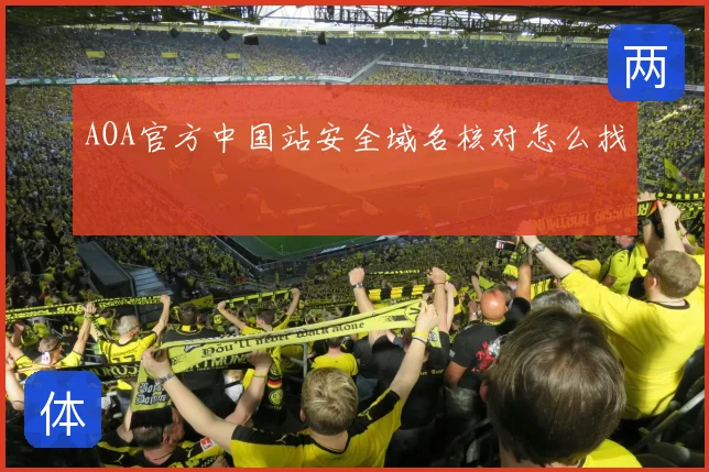 AOA官方中国站安全域名核对怎么找